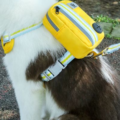 Zoomtopia Laisse pour chien avec sac à dos