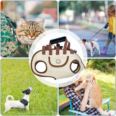 ZooVenture Sac à dos pour chien et chat
