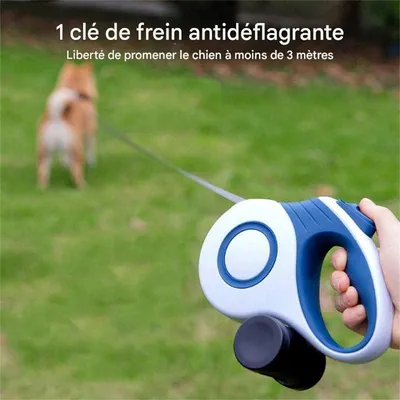 Rocky Laisse rétractable pour chien