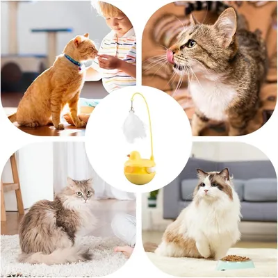 ZooVenture Jouet de chat en forme de canard