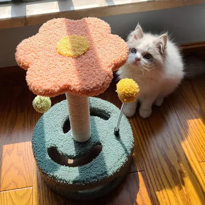 Pawzy Árbol rascador compacto y duradero