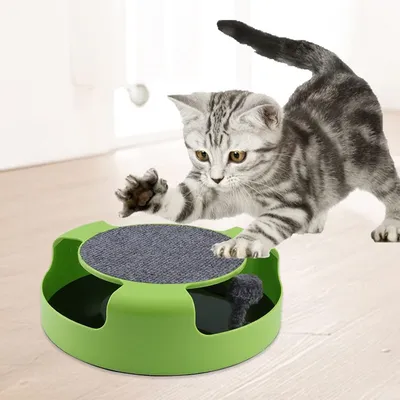 ZooVenture Tapis à gratter interactif pour chat
