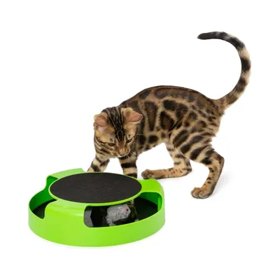 ZooVenture Tapis à gratter interactif pour chat