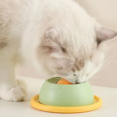 Zoomtopia Plaque de léchage pour chat