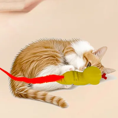 Zoomtopia Jouet serpent tortueux pour chats