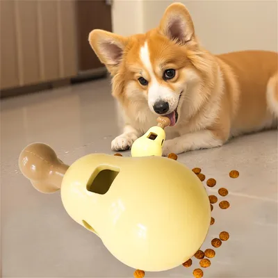 Rocky Jouets pour chiens distributeurs de friandises