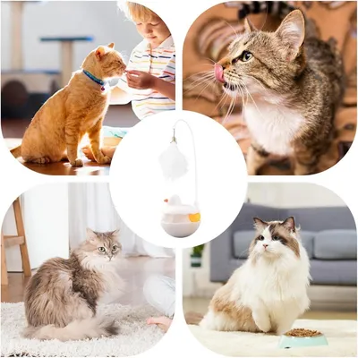 ZooVenture Jouet de chat en forme de canard