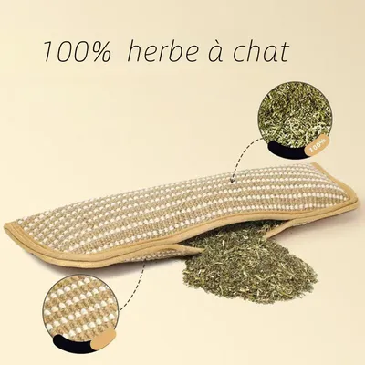 Rocky Paws Jouets pour chats avec herbe à chat - Format grande taille