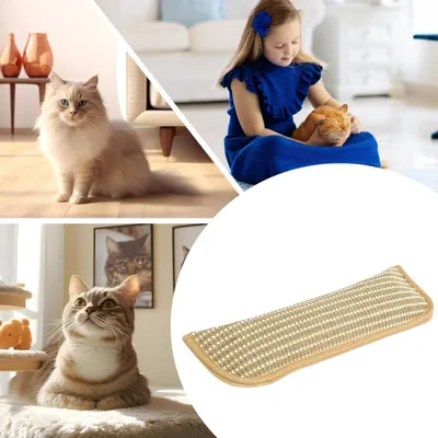 Rocky Paws Jouets pour chats avec herbe à chat - Format grande taille