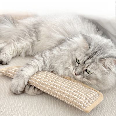Rocky Paws Jouets pour chats avec herbe à chat - Format grande taille