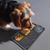 Zoomtopia Tapis Slow Food pour chiens et chats