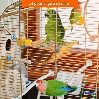 ZooVenture Hamac Lit Superposé Avec Nichoir Pour Oiseaux