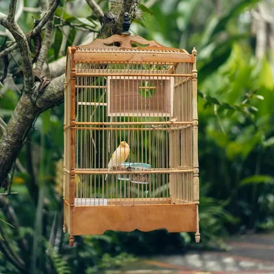 ZooVenture Nichoir pour perruches