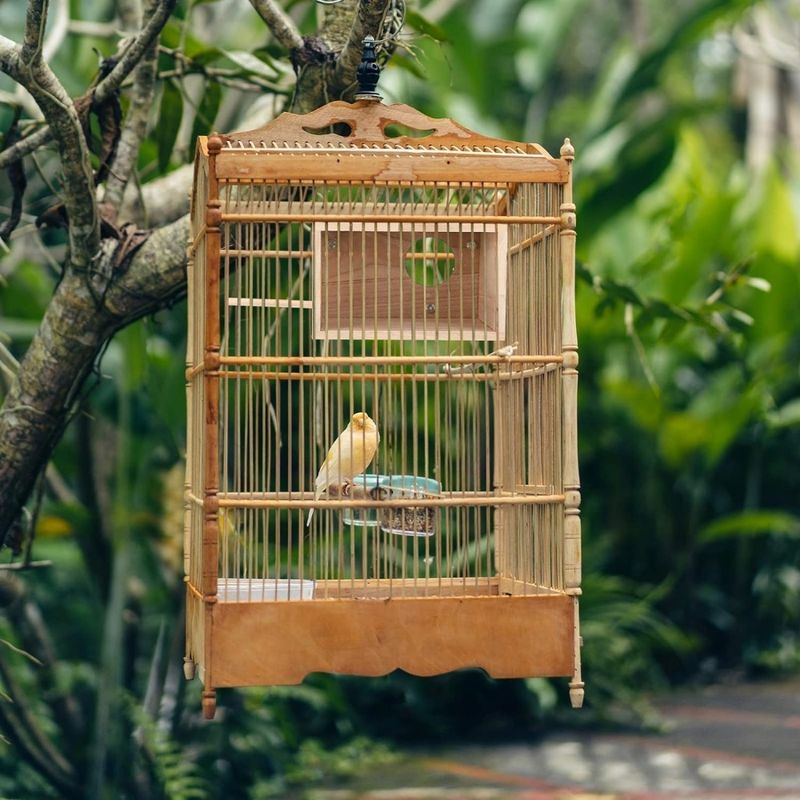 ZooVenture Nichoir pour perruches