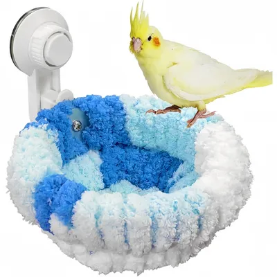 ZooVenture Nids pour oiseaux fenêtre avec ventouses pour perroquets