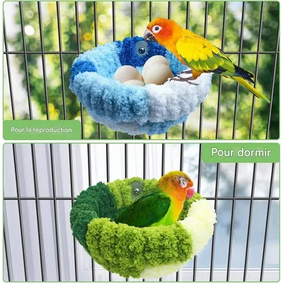 ZooVenture Nids pour oiseaux fenêtre avec ventouses pour perroquets