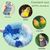 ZooVenture Nids pour oiseaux fenêtre avec ventouses pour perroquets