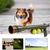 Rocky Lanceur de balles pour chien