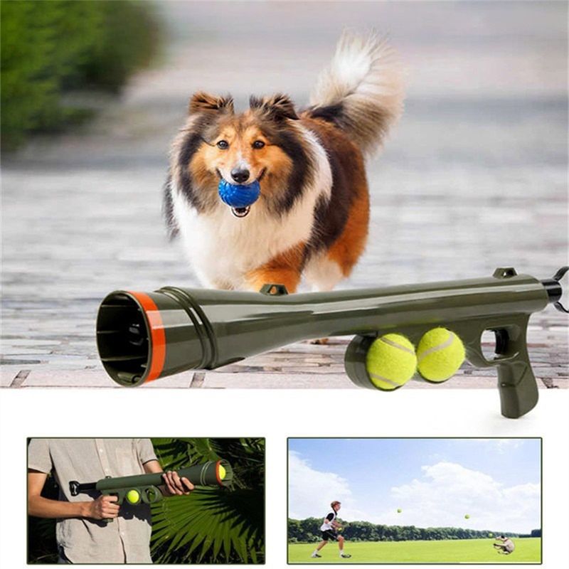Rocky Lanceur de balles pour chien