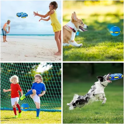 Zoomtopia Balle soucoupe volante pour chien