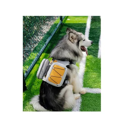 ZooVenture Dog Backpack pour randonnées