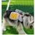 ZooVenture Dog Backpack pour randonnées