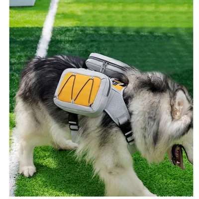 ZooVenture Dog Backpack pour randonnées