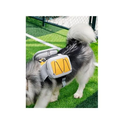ZooVenture Dog Backpack pour randonnées