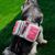 ZooVenture Dog Backpack pour randonnées