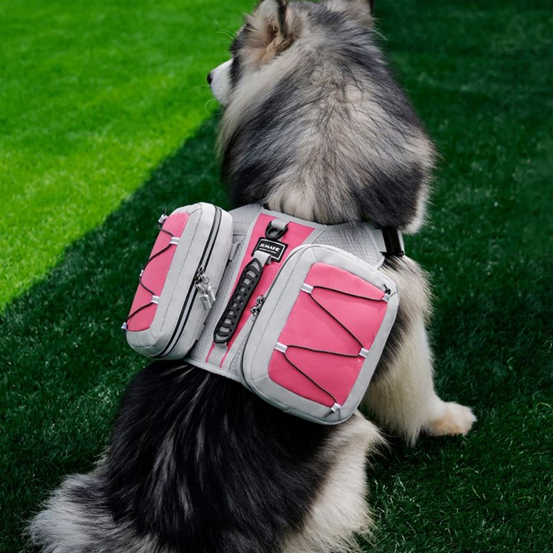 ZooVenture Dog Backpack pour randonnées