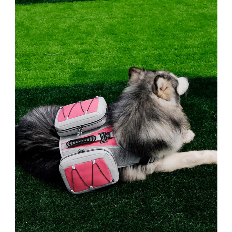 ZooVenture Dog Backpack pour randonnées