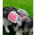 ZooVenture Dog Backpack pour randonnées