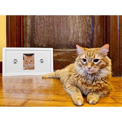 ZooVenture Kit de marco para huellas de patas de perros y gatos todas razas
