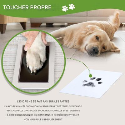 ZooVenture Kit de marco para huellas de patas de perros y gatos todas razas