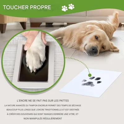 ZooVenture Kit Cadre Empreinte Pattes Pour Chien Et Chat Toutes Races