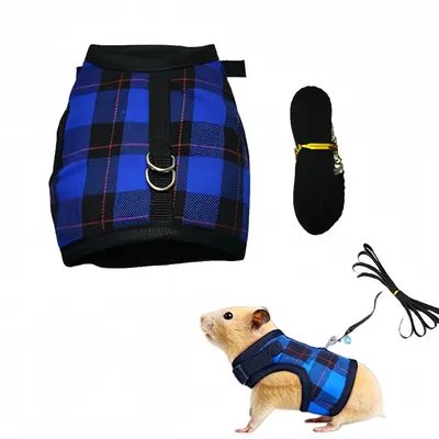 Zoomtopia Laisse pour petit animal Zoomtopia Laisse pour petit animal