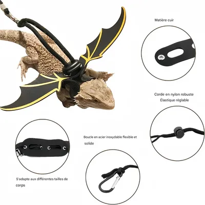 Rocky Ensemble de laisse réglable avec harnais en cuir pour reptiles