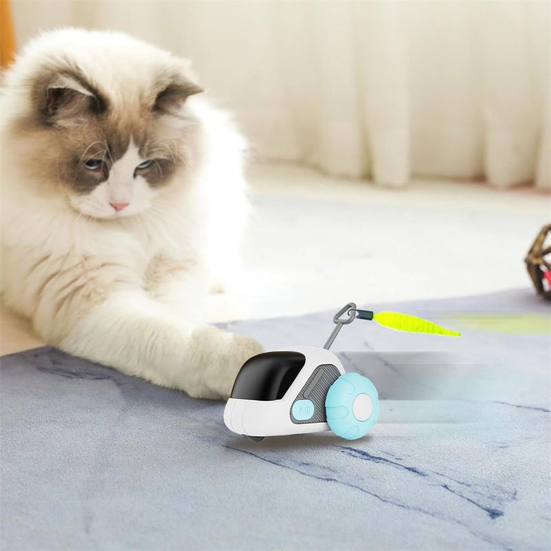 Rocky Jouet interactif pour chat