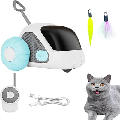 Rocky Jouet interactif pour chat