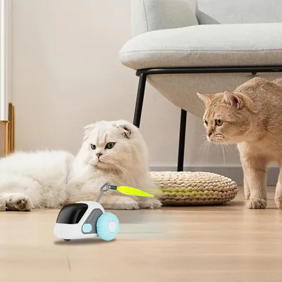 Rocky Jouet interactif pour chat