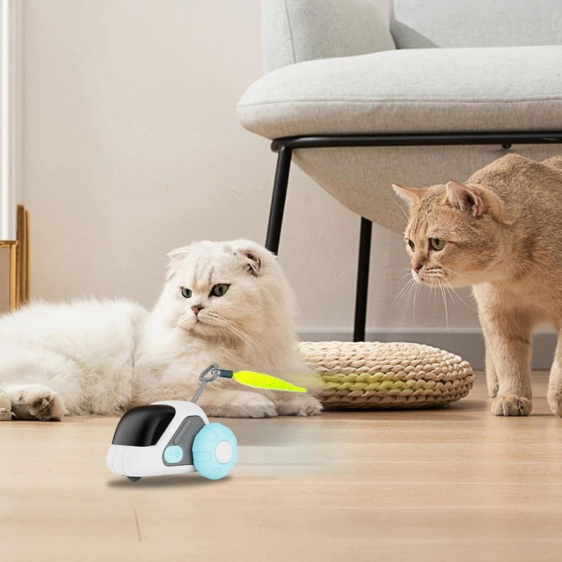 Rocky Jouet interactif pour chat