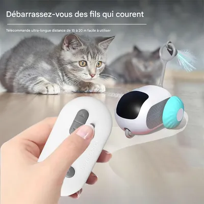 Rocky Jouet de chat électronique