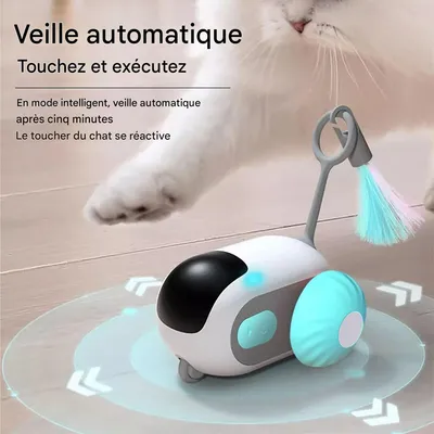 Rocky Jouet de chat électronique