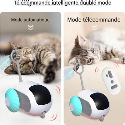 Rocky Jouet de chat électronique