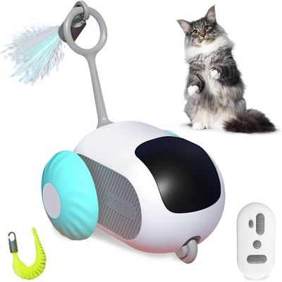 Rocky Jouet de chat électronique