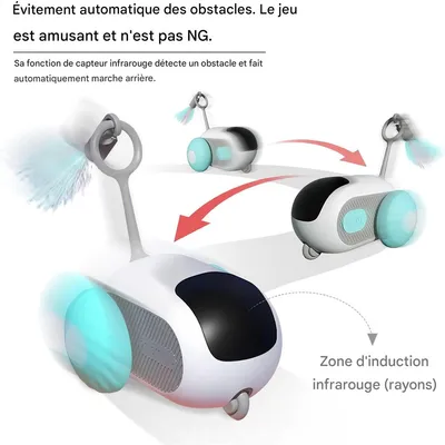 Rocky Jouet de chat électronique