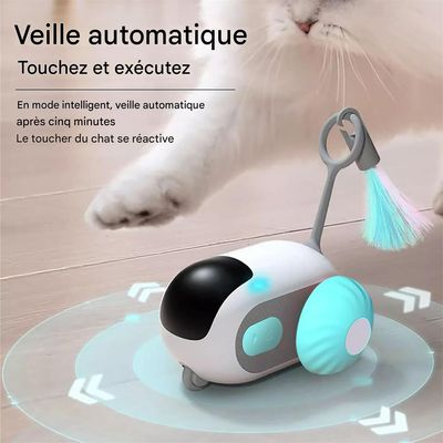 Rocky Jouet de chat électronique