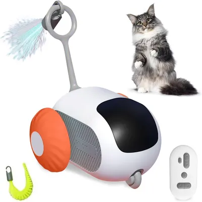 Rocky Jouet de chat électronique