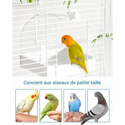 ZooVenture Baignoire pour oiseaux transparente