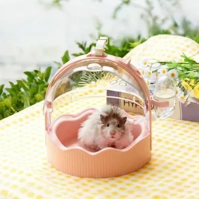 ZooVenture Cage à oiseaux portable